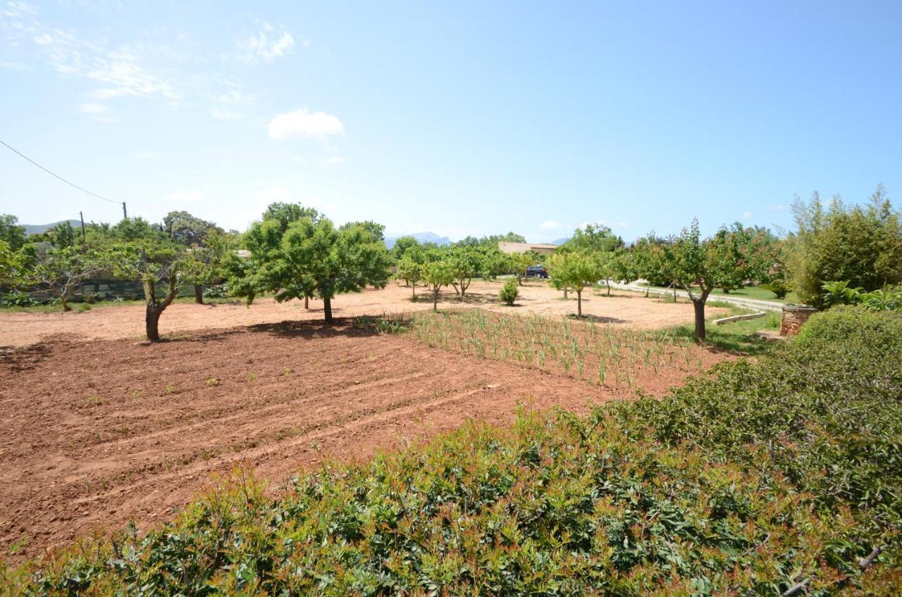 פורט ד'אלקודיה Villa Can Pau, Pool And Garden Close To The Beach מראה חיצוני תמונה